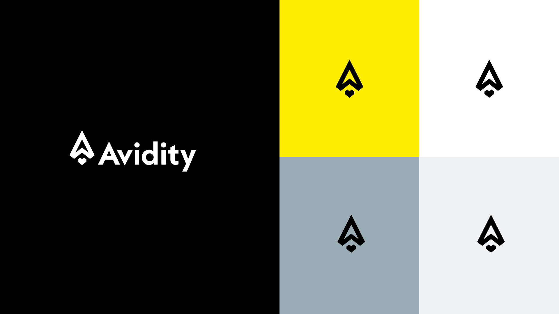 Avidity Brand3